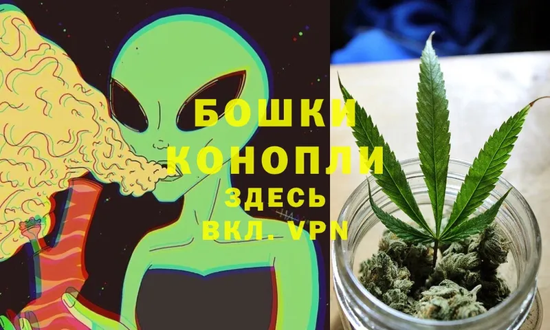 Каннабис OG Kush  площадка состав  Кольчугино 